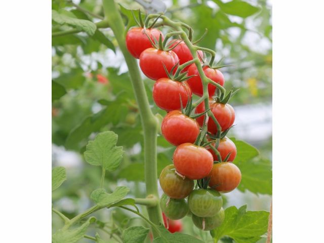 pic_spots_01shiga01p04