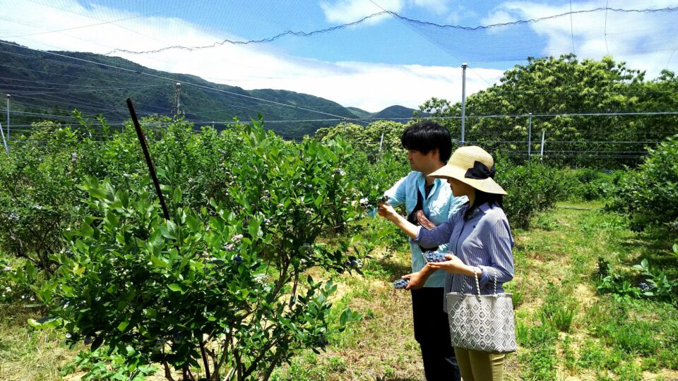 pic_spots_01shiga06p04