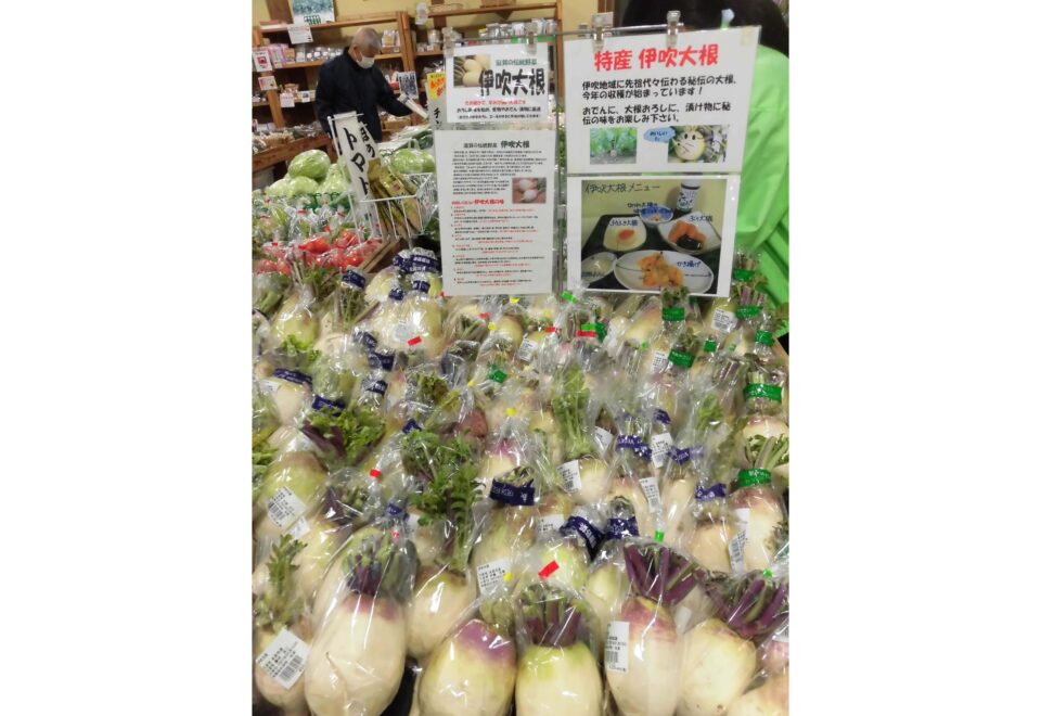pic_spots_01shiga09p04