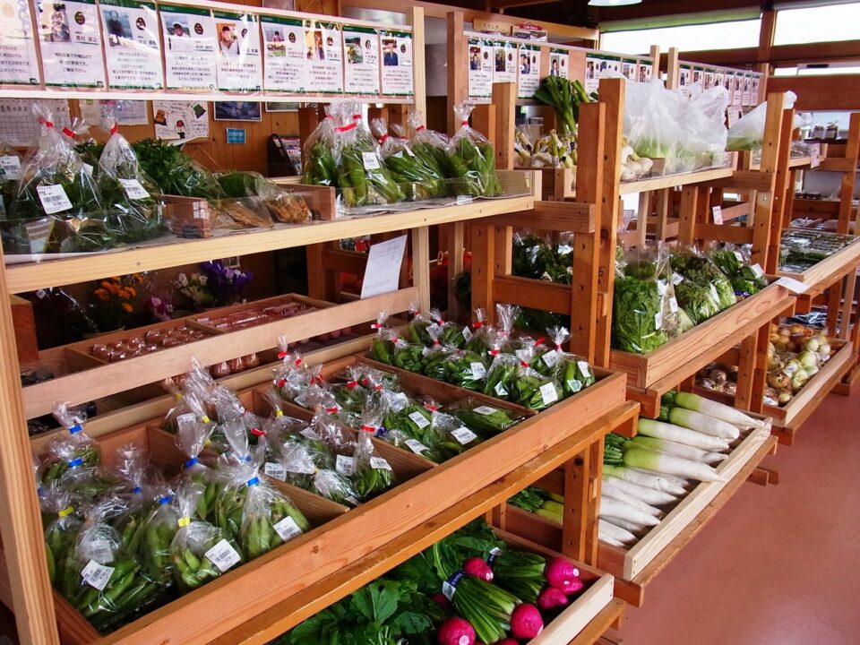pic_spots_01shiga13p02