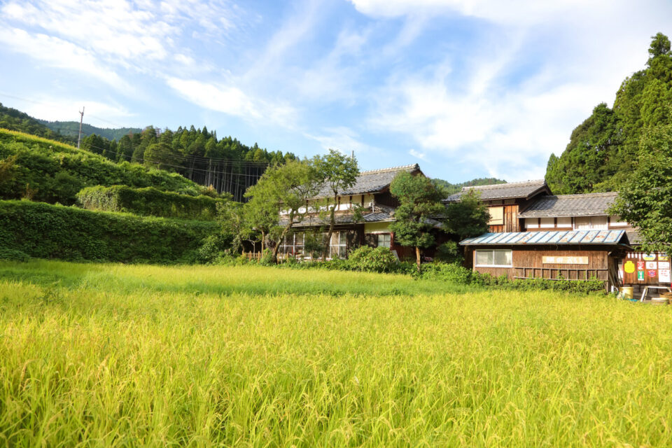 pic_spots_01shiga15p01
