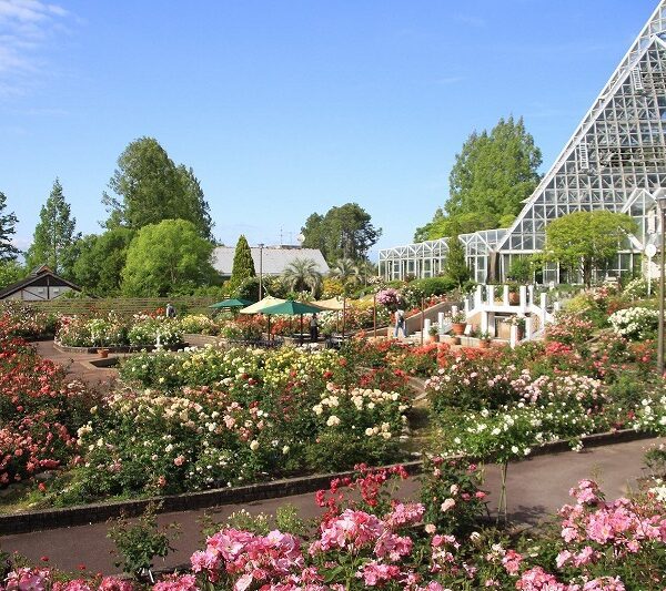 花の文化園withワールドインテック