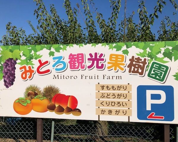 みとろ観光果樹園