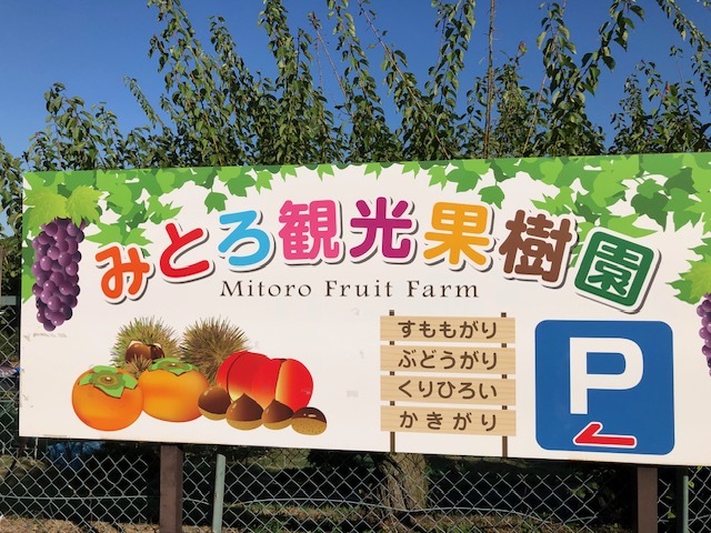 pic_spots_04hyogo02p01