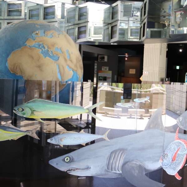 赤穂の天塩海洋科学館