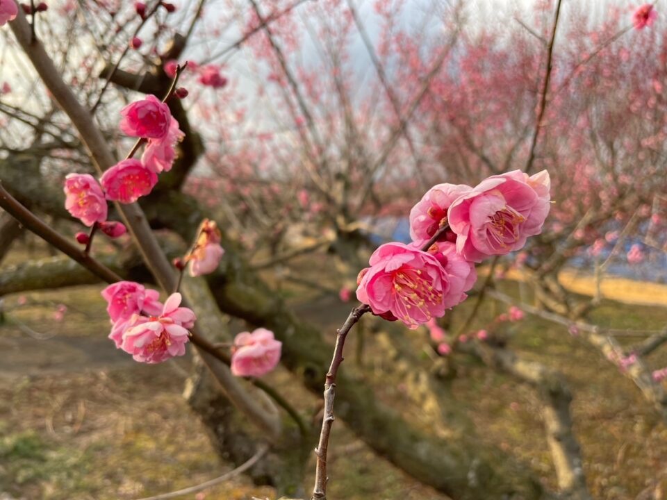pic_spots_04hyogo05p01