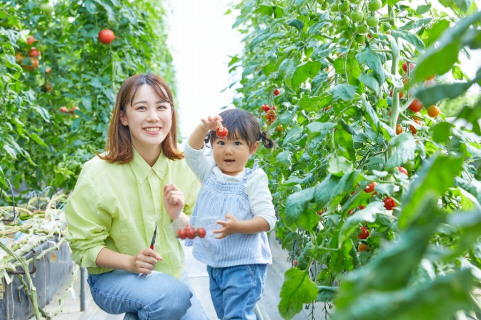 pic_spots_04hyogo09p02