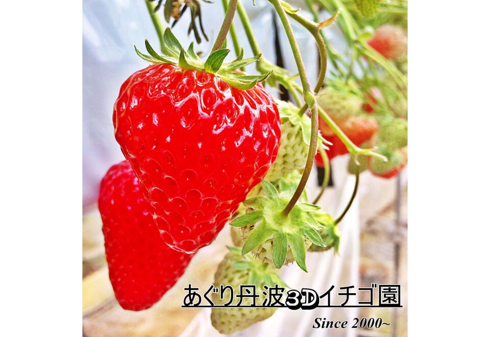 pic_spots_04hyogo20p01