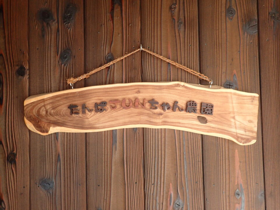 pic_spots_04hyogo26p01