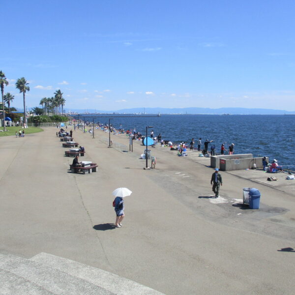鳴尾浜臨海公園南地区海づり広場
