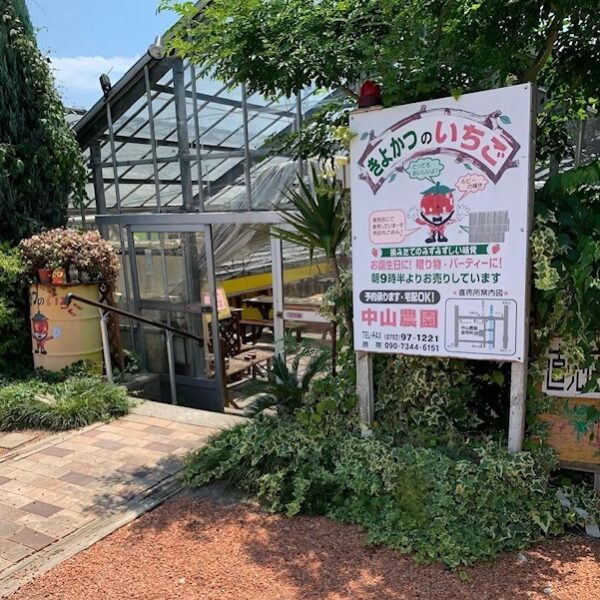 中山農園　きよかつのいちご