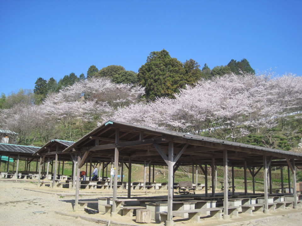 pic_spots_05nara04p02