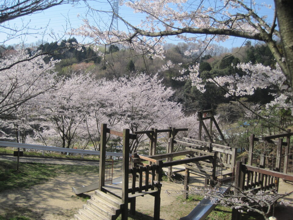 pic_spots_05nara04p04