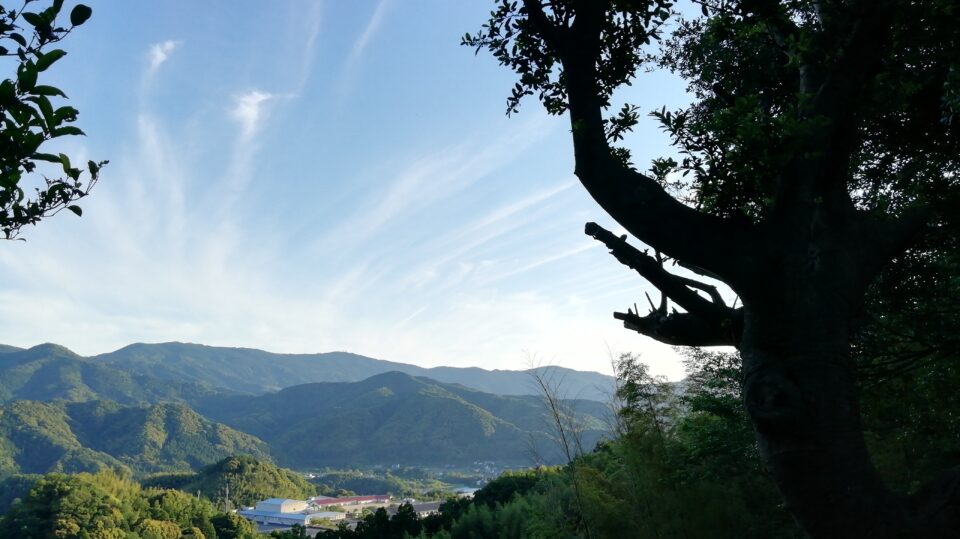 pic_spots_06wakayama01p02