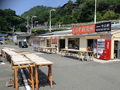やぶ新