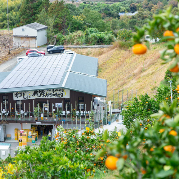 観音山フルーツパーラー総本店