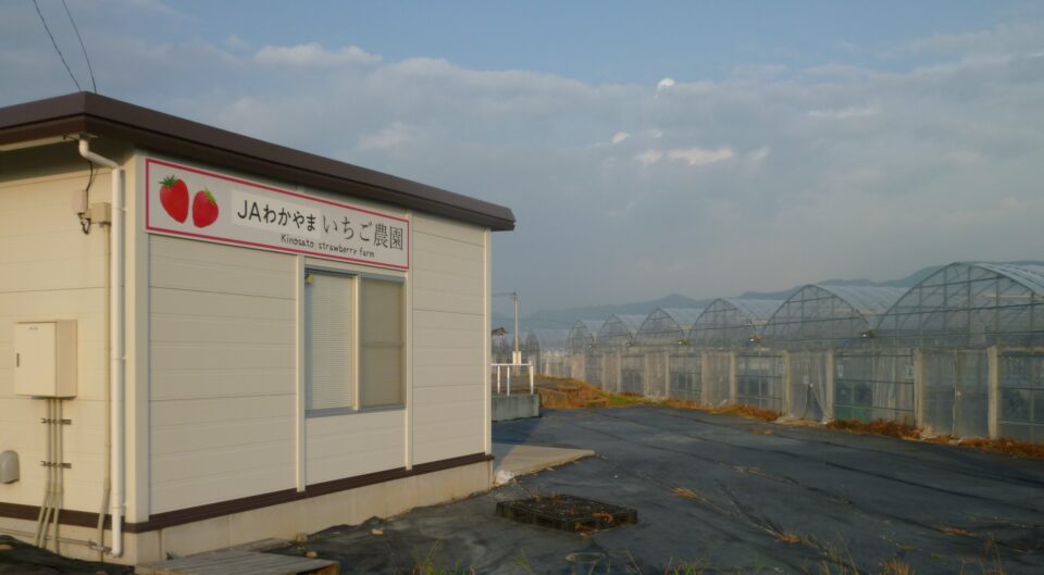 pic_spots_06wakayama14p03