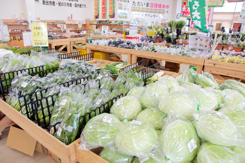 pic_spots_06wakayama18p02