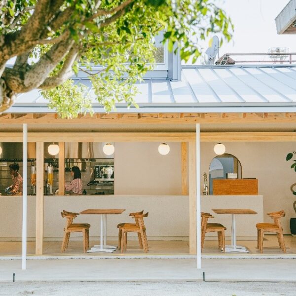 CAFÉみかんの木