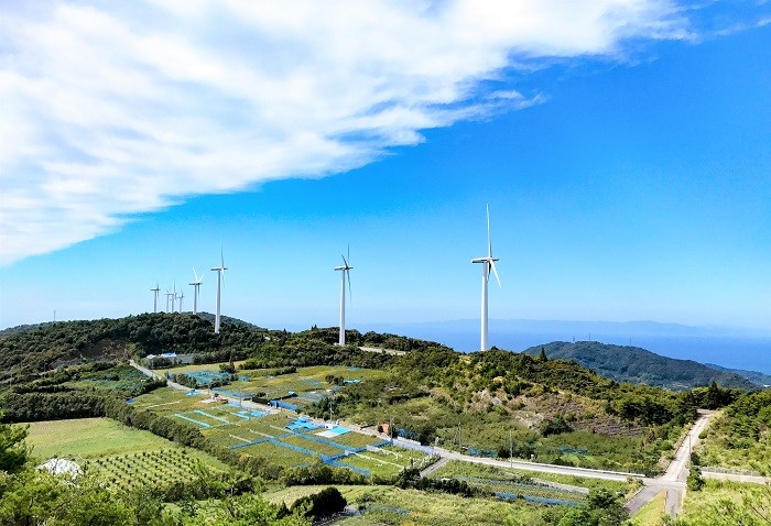 pic_spots_06wakayama32p01