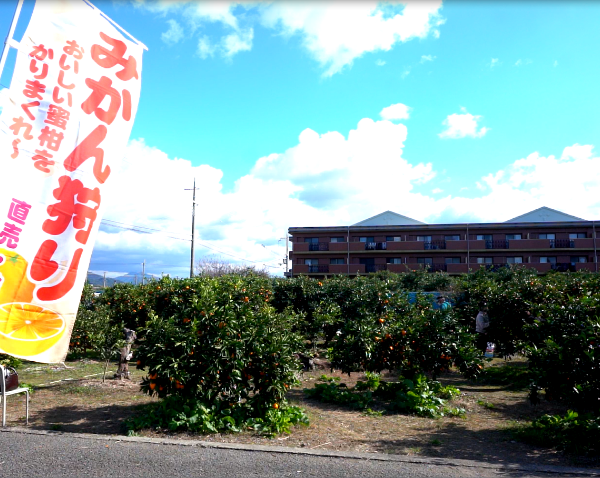 スガイ農園