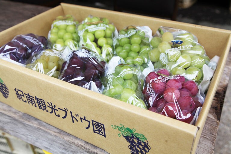 pic_spots_06wakayama50p04