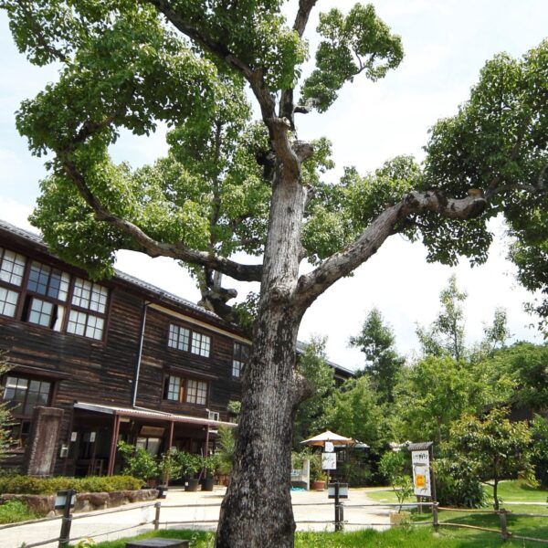 秋津野ガルテン