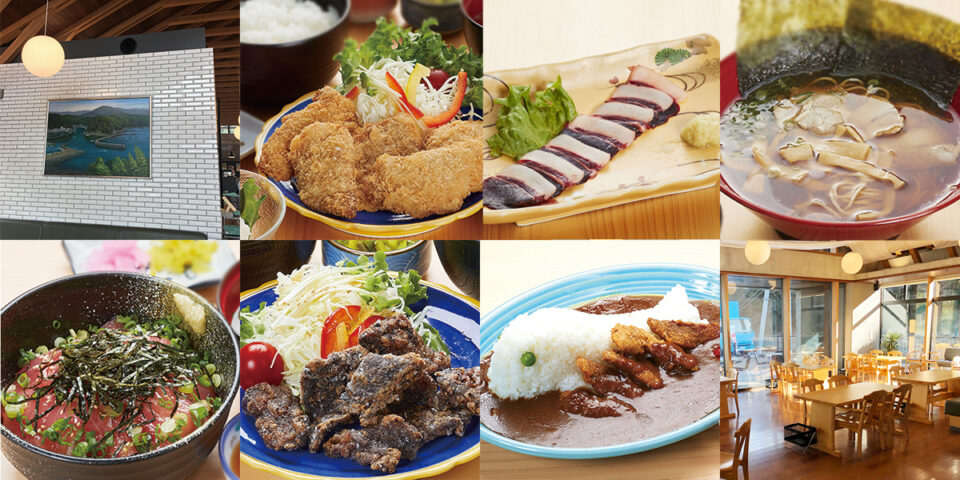 pic_spots_06wakayama62p04