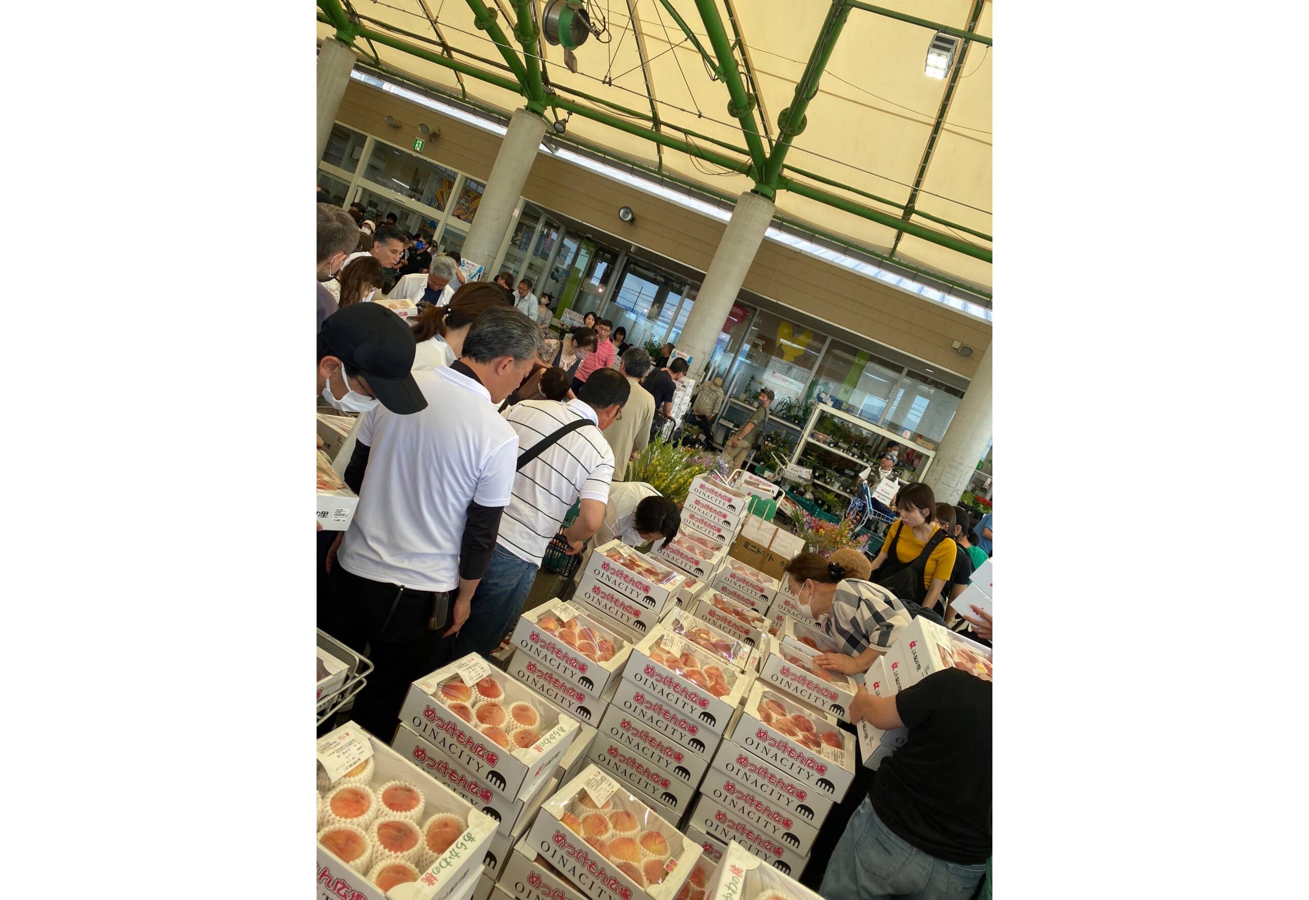 pic_spots_06wakayamap16p04