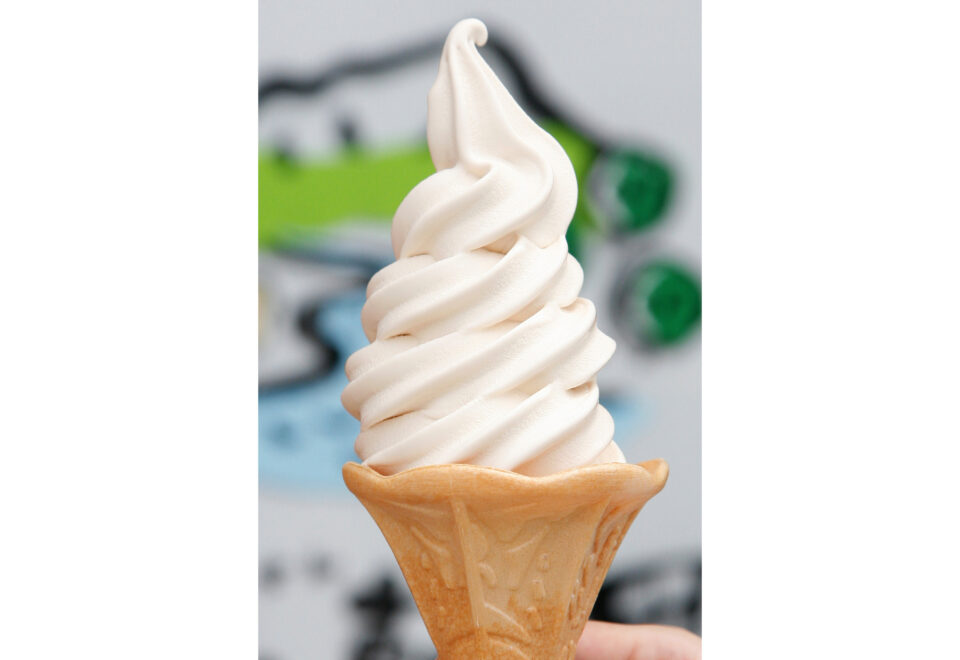 pic_spots_07tottori02p03