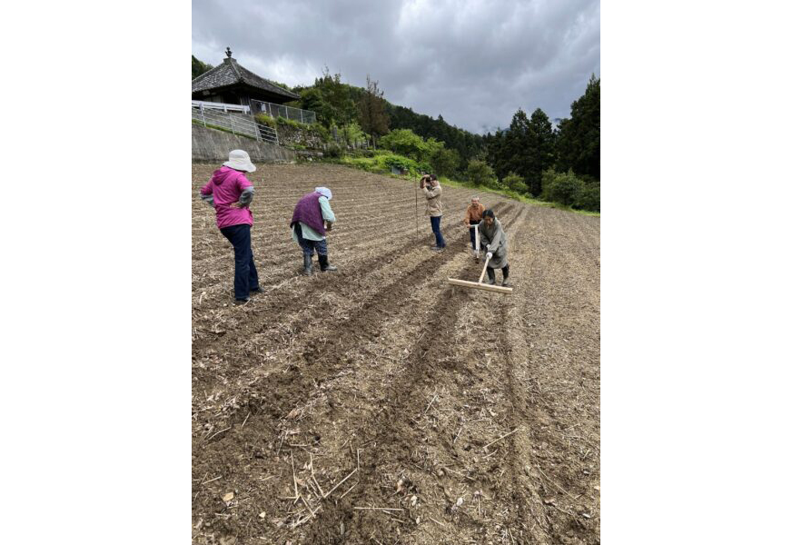 pic_spots_08tokushima02p04