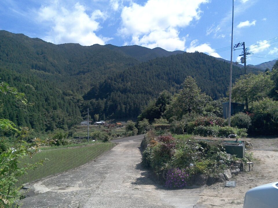 pic_spots_08tokushima06p03