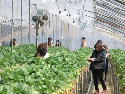 pic_spots_08tokushima07p02