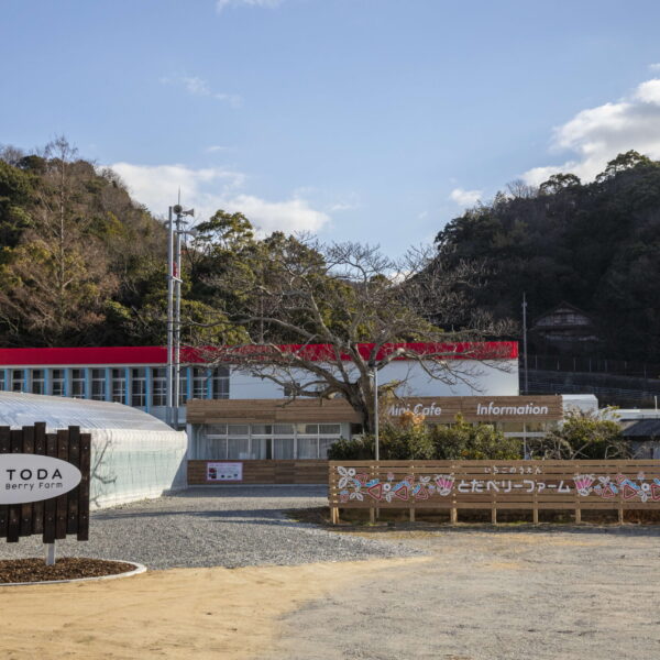 TODAベリーファーム