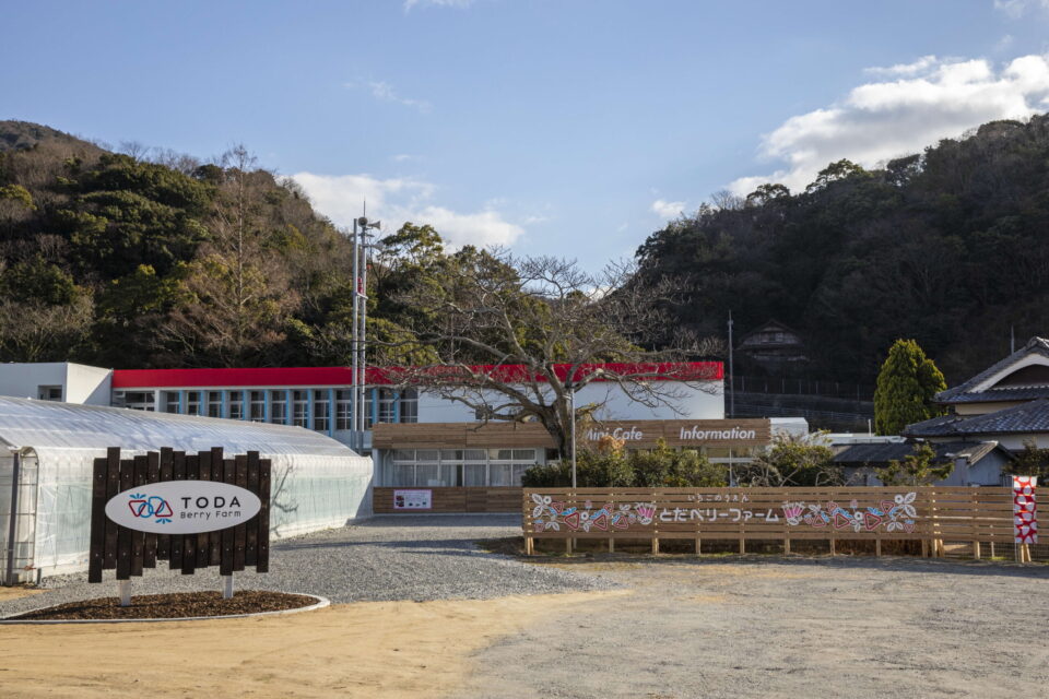 pic_spots_08tokushima08p01