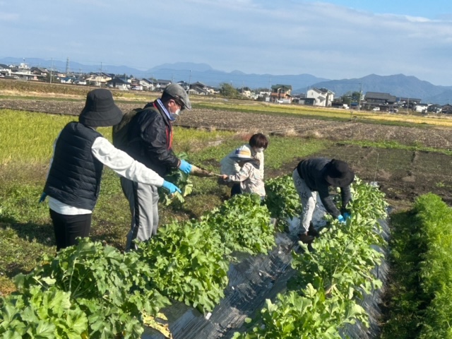 01滋賀県02ナカヤマファーム滋賀1★image6