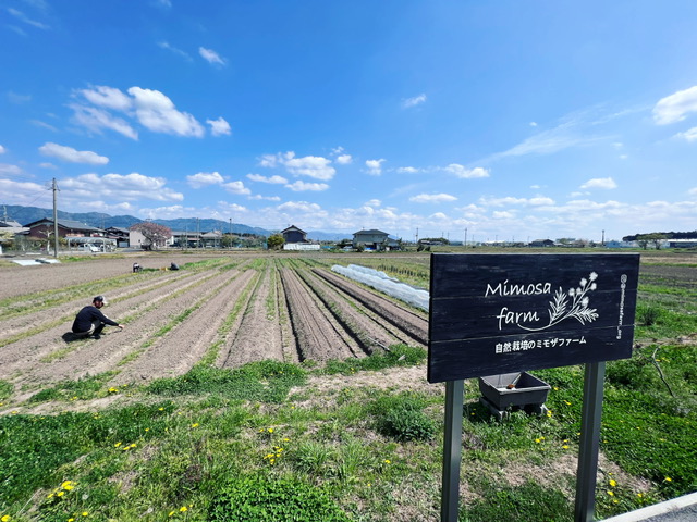 01滋賀県15ミモザキッチン1畑