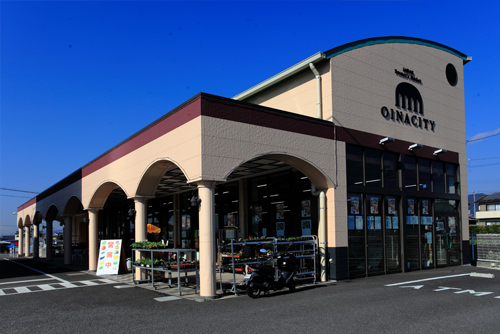 06和歌山県36OINACITY1
