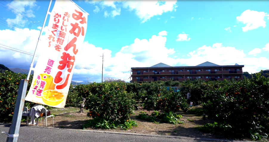 06和歌山県44スガイ農園1