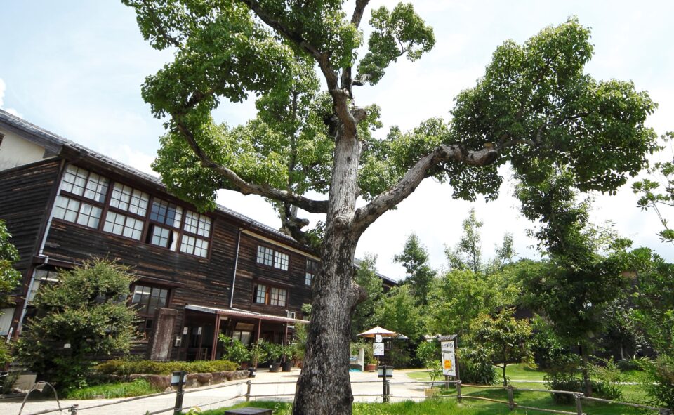06和歌山県71秋津野ガルテン1施設一覧用