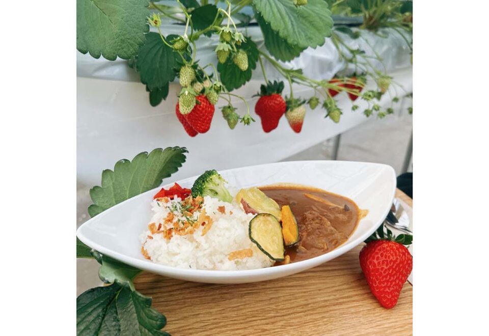 河西いちご園の2枚目
