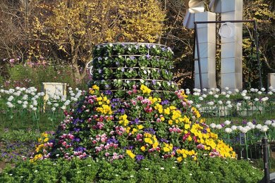 花の文化園withワールドインテックの2枚目