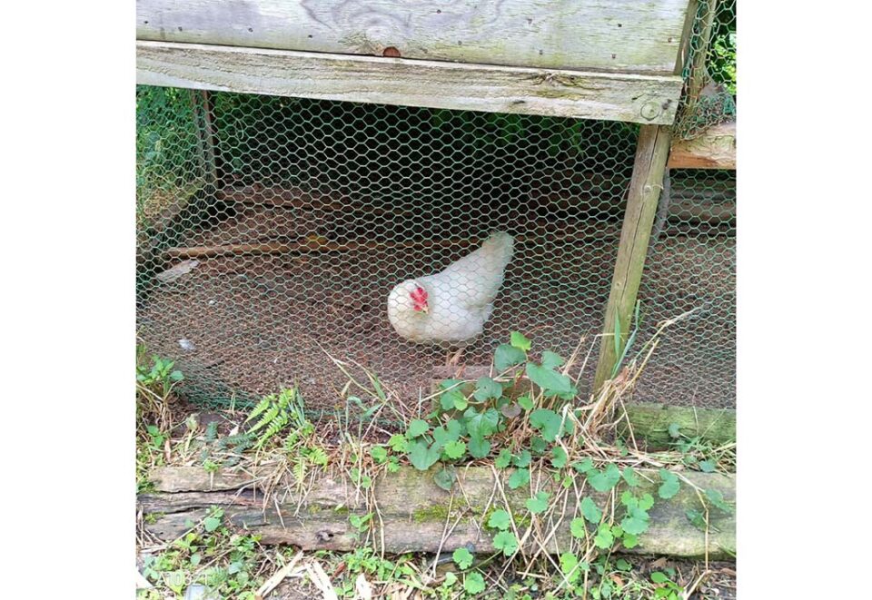 さんだ農の里の1枚目