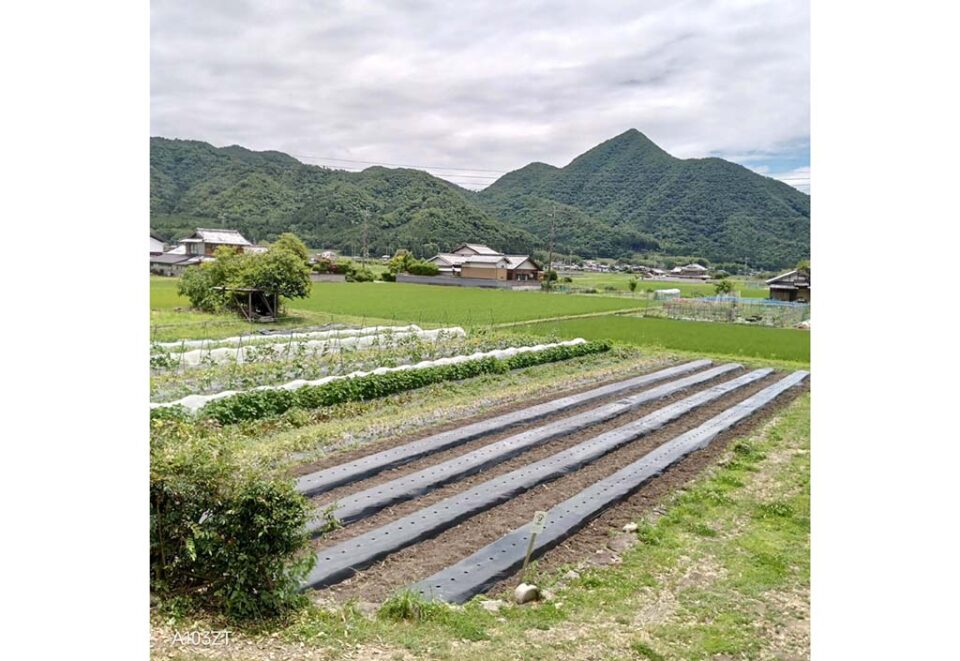 さんだ農の里の4枚目