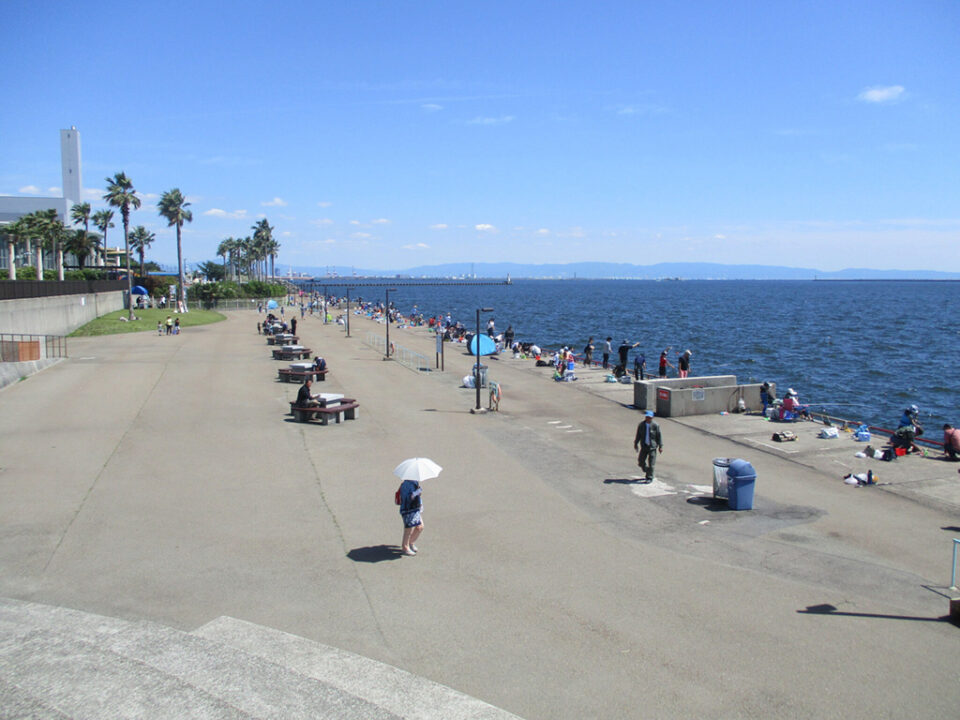 鳴尾浜臨海公園南地区海づり広場の1枚目