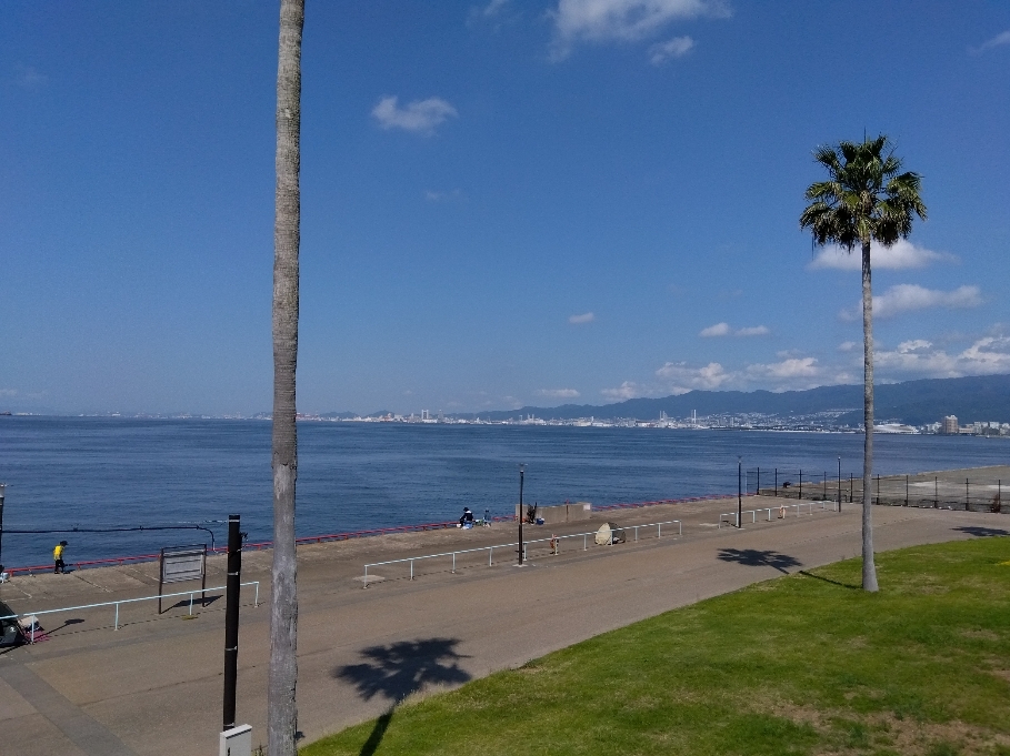 鳴尾浜臨海公園南地区海づり広場の3枚目