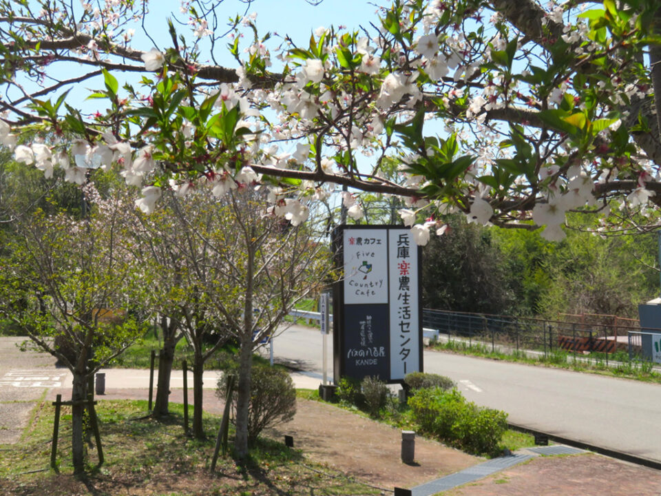 兵庫楽農生活センターの4枚目