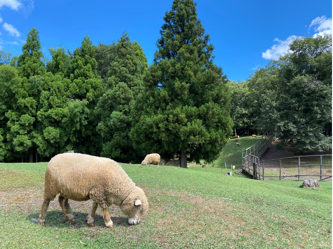 兵庫県立但馬牧場公園の2枚目