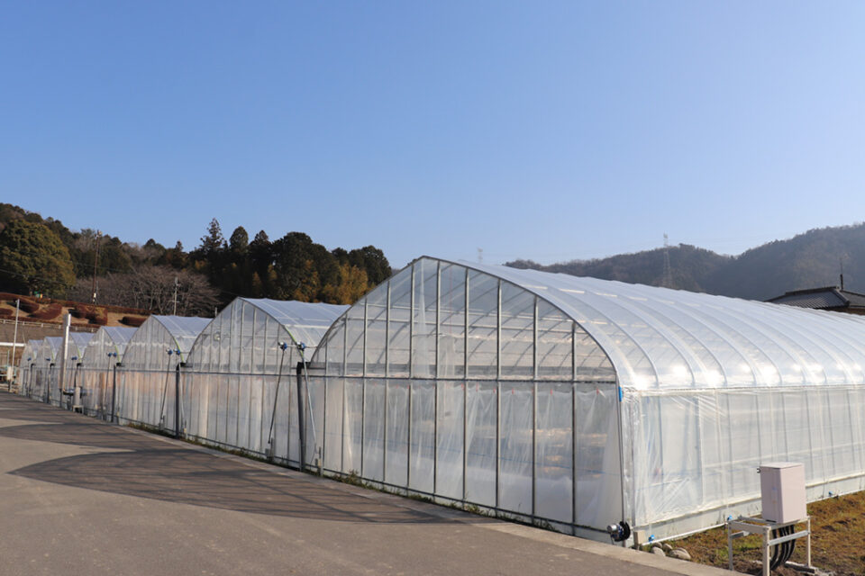にっしーFarmの2枚目