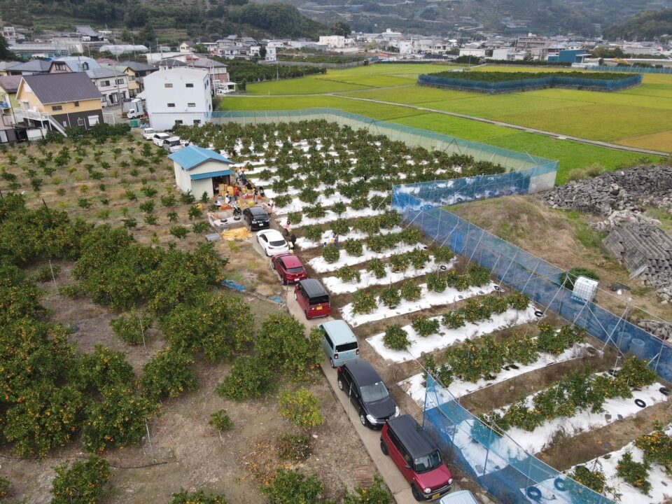 蔵出しみかんの藤原農園株式会社の3枚目